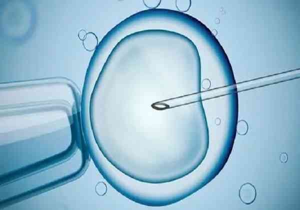 女方卵子质量不行还可以做试管怀孕吗？