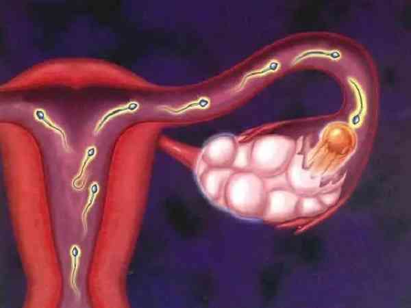 生了一胎后输卵管还会不会发生堵塞的情况？