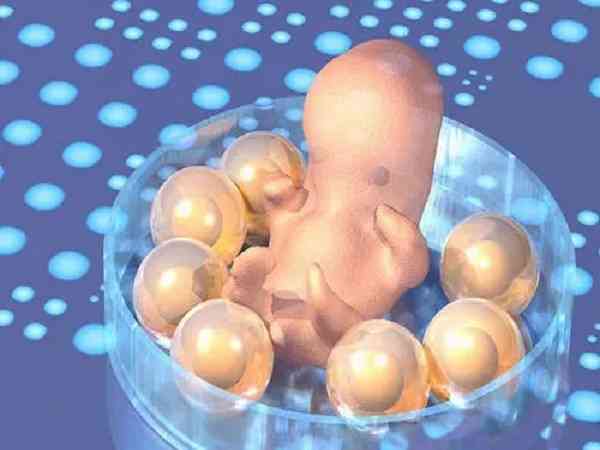 有没有移植4cc囊胚顺利怀孕生下孩子的姐妹？