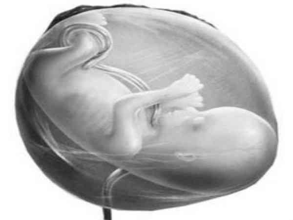 很多姐妹都说胚胎等级决定了孩子质量是不是真的？
