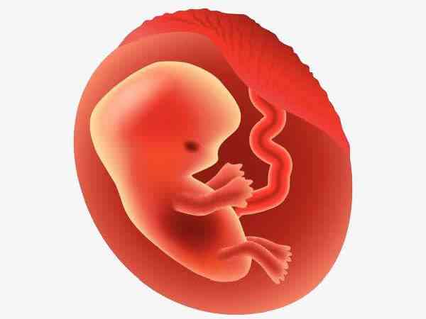 三级胚胎移植成功生下的孩子会有缺陷吗？