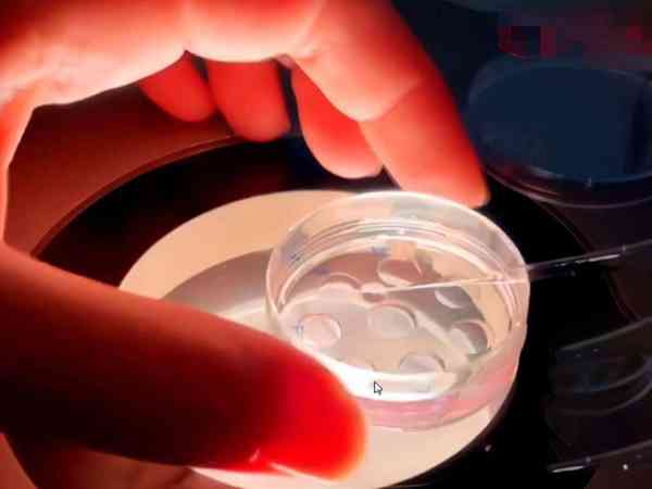 上海十院做试管婴儿冷冻保存一年的胚胎要多少钱？