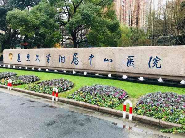 上海中山医院生殖中心董曦医生做试管怎么样？