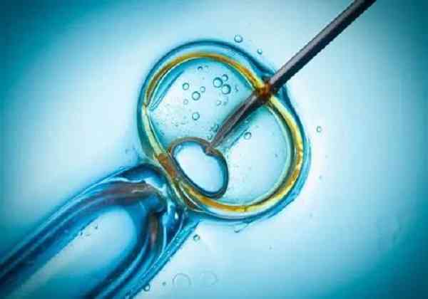 精子少做人授怀孕的几率大吗？