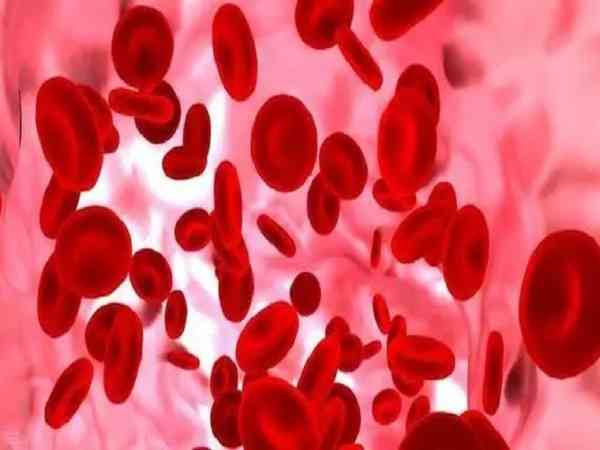 血常规中血红蛋白低到多少范围内就算地贫？