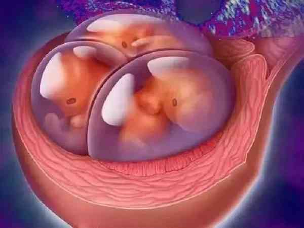 胚胎质量差养囊的成功率是不是很低？