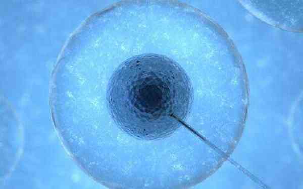 8个胚胎养囊只成功了1个是什么原因？