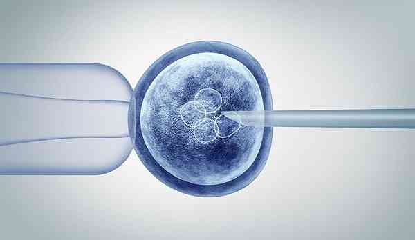 试管移植8c2和9c2的胚胎哪个比较好？