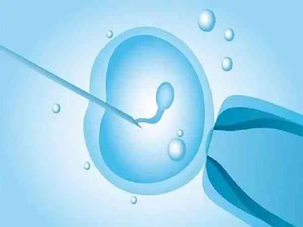 做试管只取到了2个卵子怀孕成功率高吗？