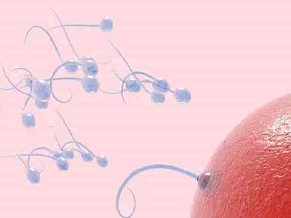 申请精子库做供精人工授精的流程有哪些？