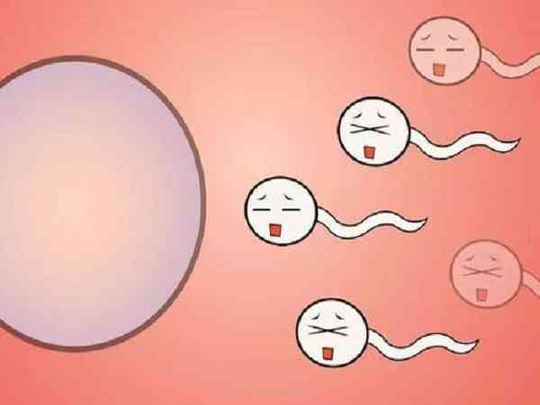 基础卵泡少于5个可以促排卵增加怀孕几率吗？