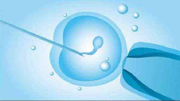 国内做一代试管鲜胚移植前有辩男女技术吗？
