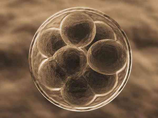 江门妇幼生殖中心做试管婴儿5个胚胎养囊能成功几个？