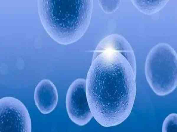 最好的一级胚胎真的很难配得到吗？