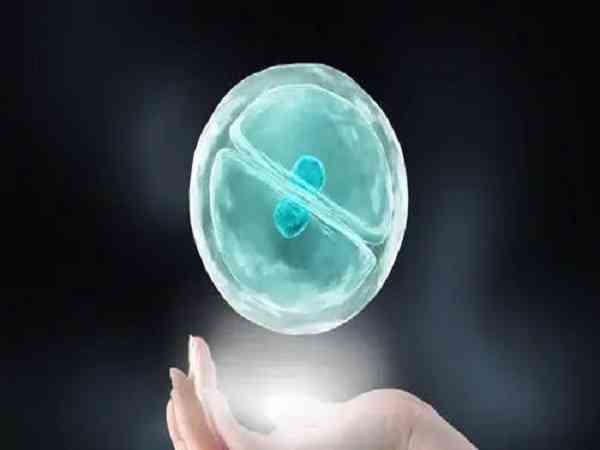 胚胎移植两个一级胚胎成功率会比两个二级更大吗？