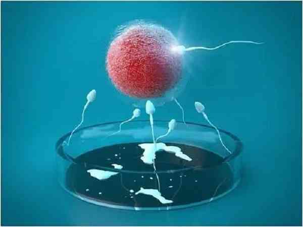 胚胎等级低反而成功了是什么原因？