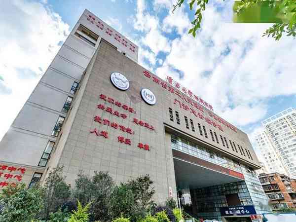 云南大学附属医院做试管生双胞胎大概多少钱？