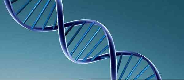三代试管容易出现嵌合体是遗传因素造成的吗？