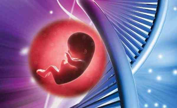 有做三代试管移植优质胚胎还生出畸形儿的吗？