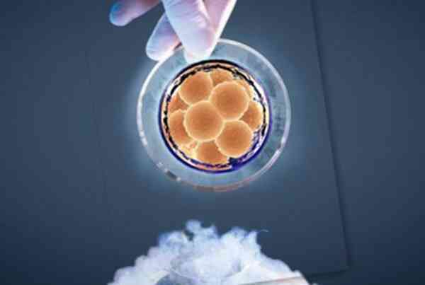 第三代试管最少要几个囊胚筛选能提高成功率？