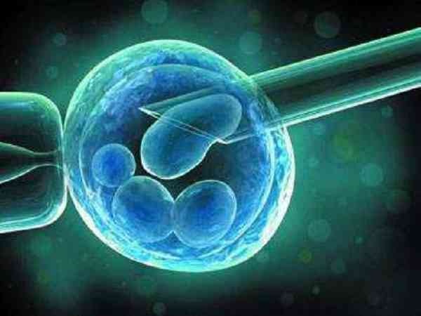 三代试管只有2个囊胚送检还有希望吗？