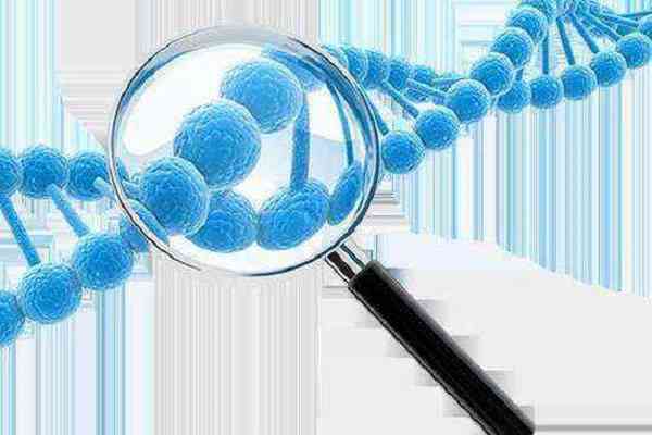染色体异常做三代试管胚胎基因检测要多久时间？