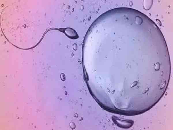 二代试管取卵当天精子不合格能配成功吗？