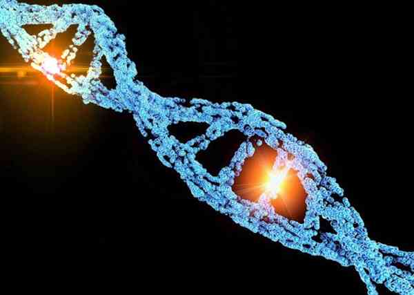 三代试管筛查能不能防止基因突变阻断遗传病啊？