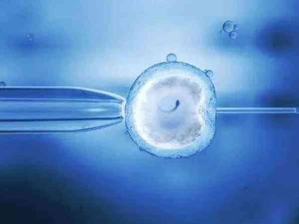 桂林医学院附院做试管囊胚移植成功率比鲜胚高吗？