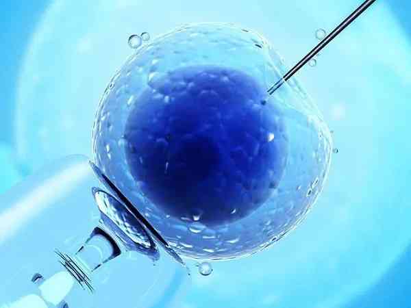 做一代试管精子和卵子是怎么受精的？求过程详解！