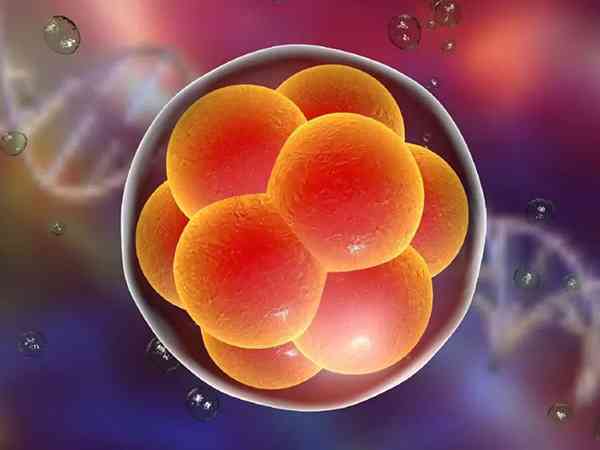 山东私立生殖医院鲜胚失败第二次移植冻胚的流程是怎样的？