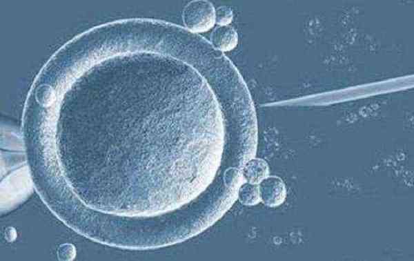 试管婴儿配出来的胚胎一般是分几个等级？