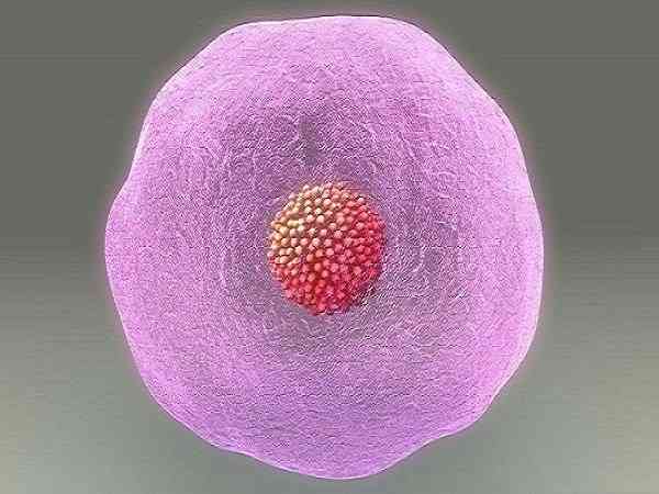鲜胚移植15天孕酮只有7正常吗？
