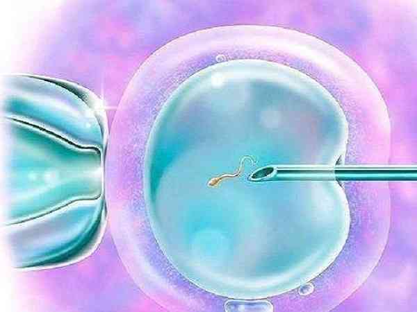 试管移植冻囊胚当天孕酮多少在正常范围内？