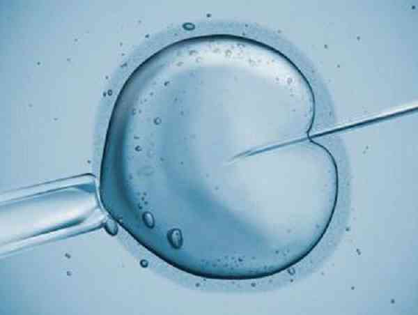 走自然周期移植冻囊胚的好处是成功率高吗？