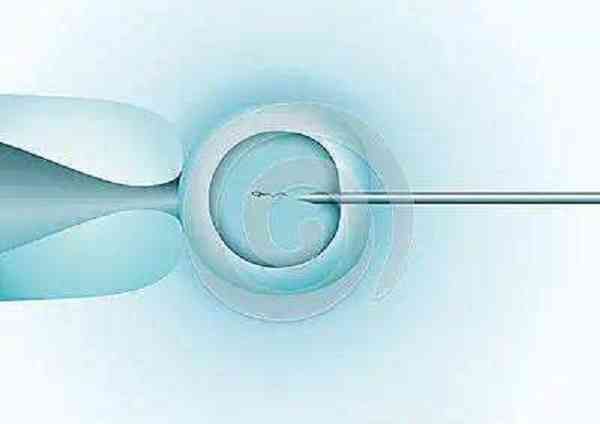二代试管取卵后多久可以配好优质胚胎？