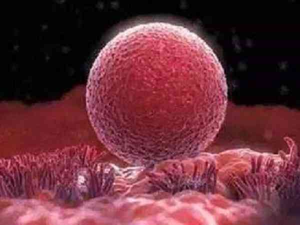 为什么鲜胚移植第11天显示白板官方却验血成功？