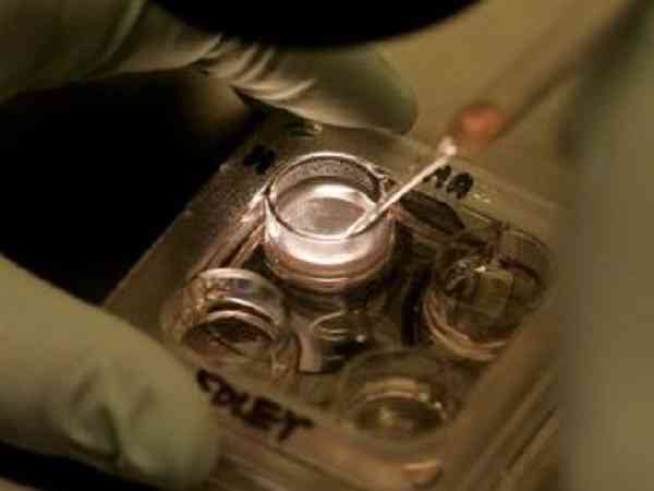 移植鲜胚12天测一杠是什么原因？