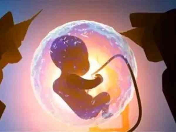 第一次移植用鲜胚好还是用冻囊胚成功率更高？