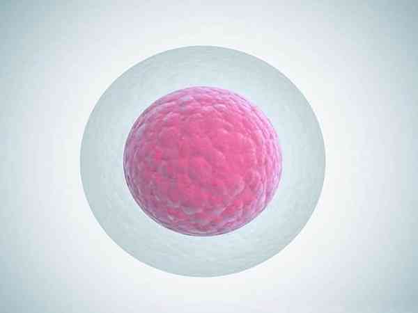 黄体期促排取卵该怎么避免都是空卵泡的现象？