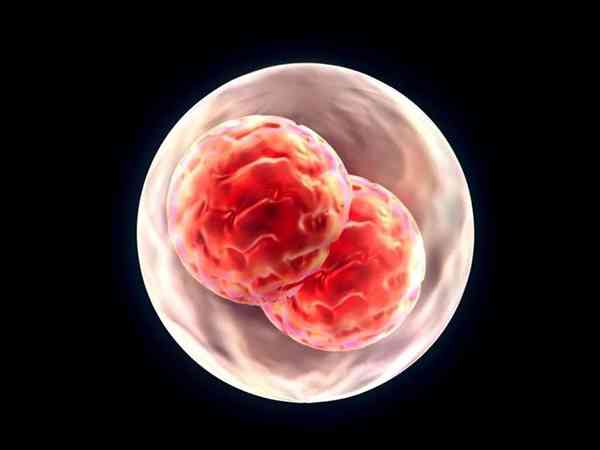 北医三院三代试管单独一个囊胚筛查费用多少钱？