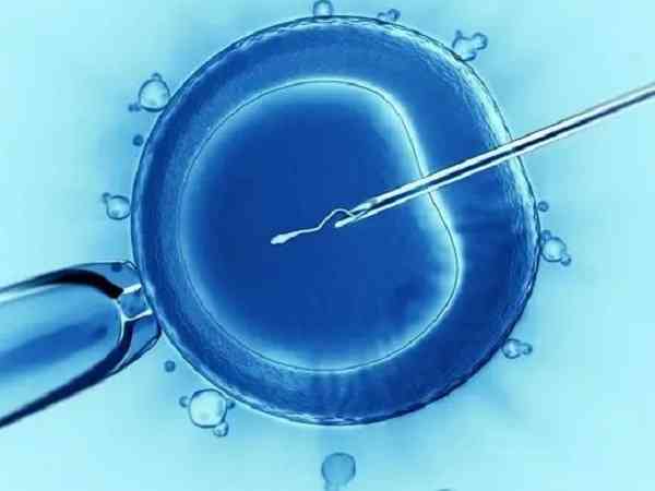 42岁卵巢早衰做供卵试管成功率高吗？