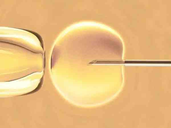 6AC囊胚是不是男孩的几率比女孩大？