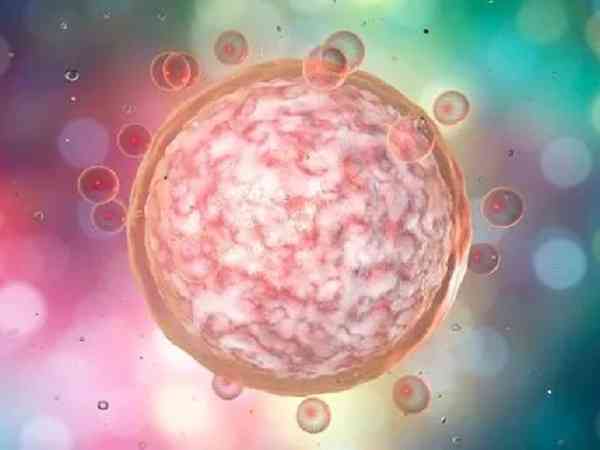 移植一个6ba囊胚会分裂为双胞胎吗？