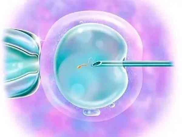 试管取卵4个大概能配成功几个优质胚胎？