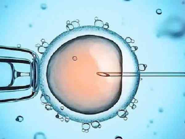 高龄试管ppos新方案取卵后多久可以移植鲜胚？