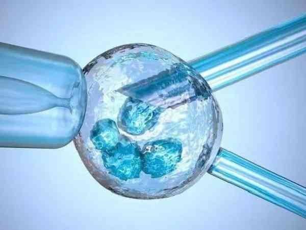 试管移植两次鲜胚都着床失败了是什么原因？