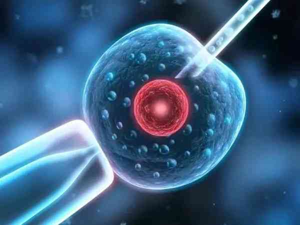 胚胎解冻后为什么会升级成融合胚？