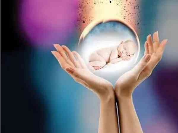 二代试管优质胚胎养囊成功率高吗？