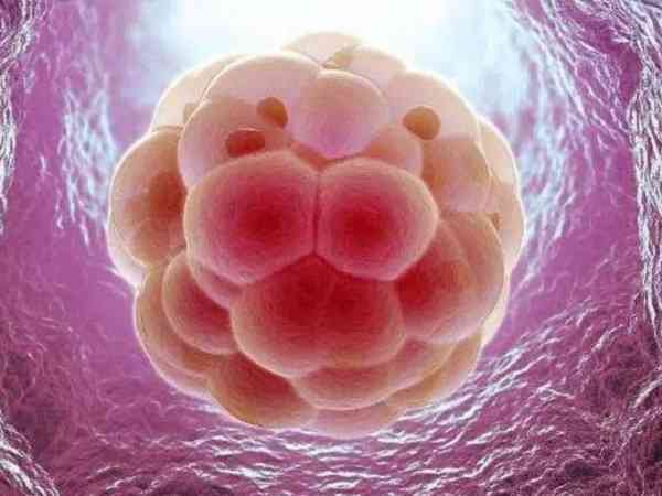 试管移植放2个冷冻胚胎双胞胎几率大吗？